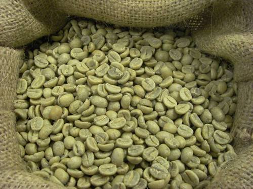 Green unroasted coffee beans of Nepal - Arabica